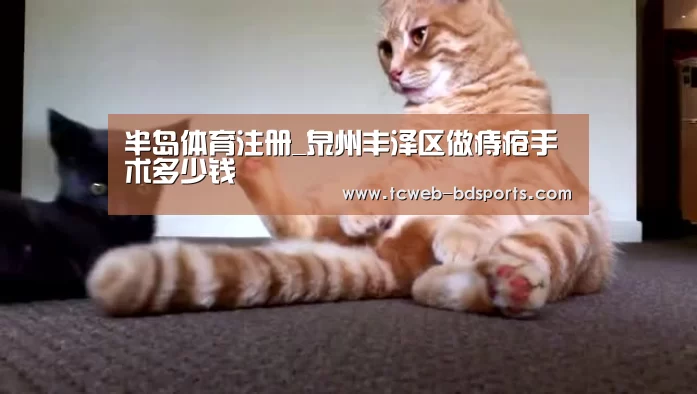 半岛体育下载