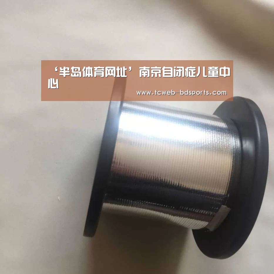 ‘半岛体育网址’南京自闭症儿童中心(图2) 半岛体育注册