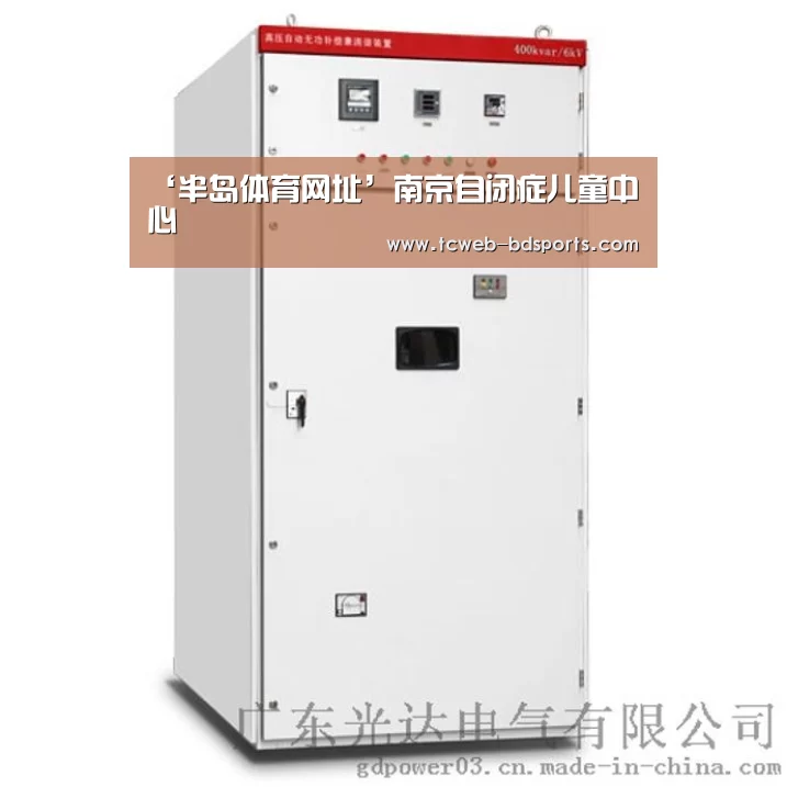 ‘半岛体育网址’南京自闭症儿童中心(图3) 半岛体育下载