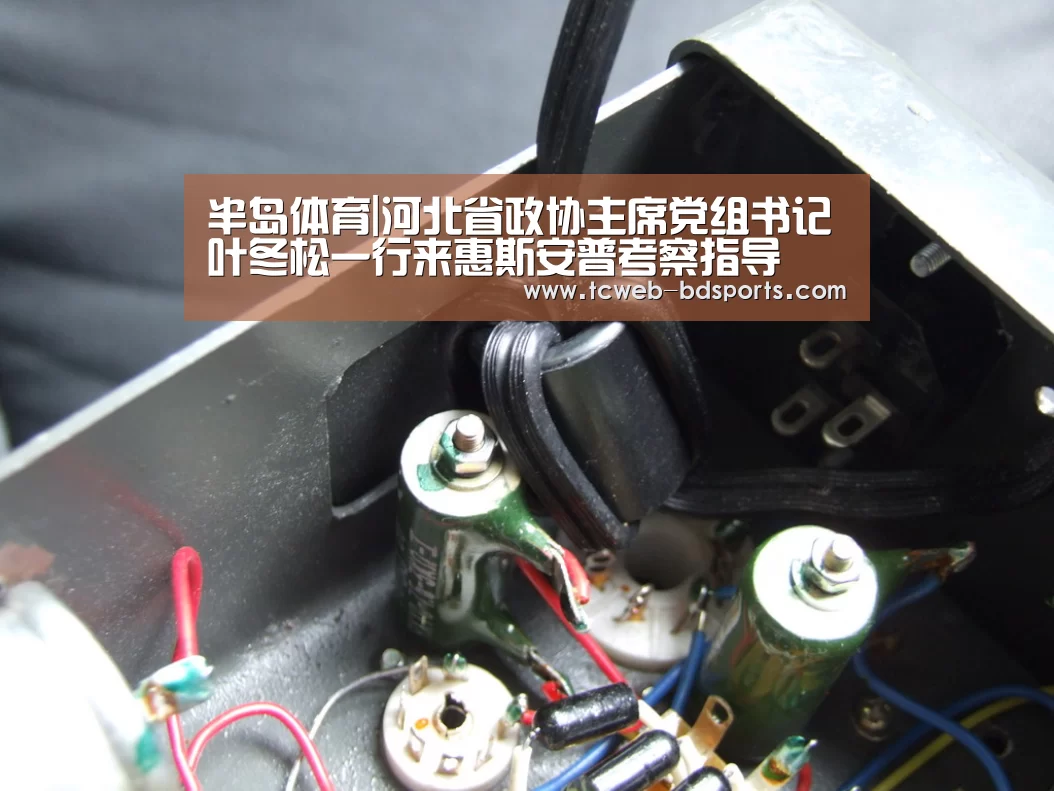 半岛体育
