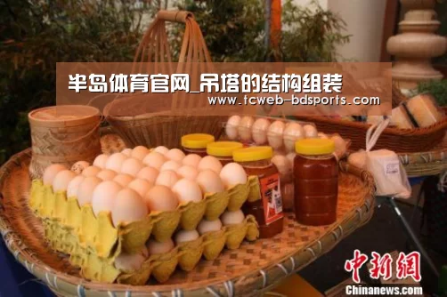 半岛体育官网_吊塔的结构组装(图3) 半岛体育官网