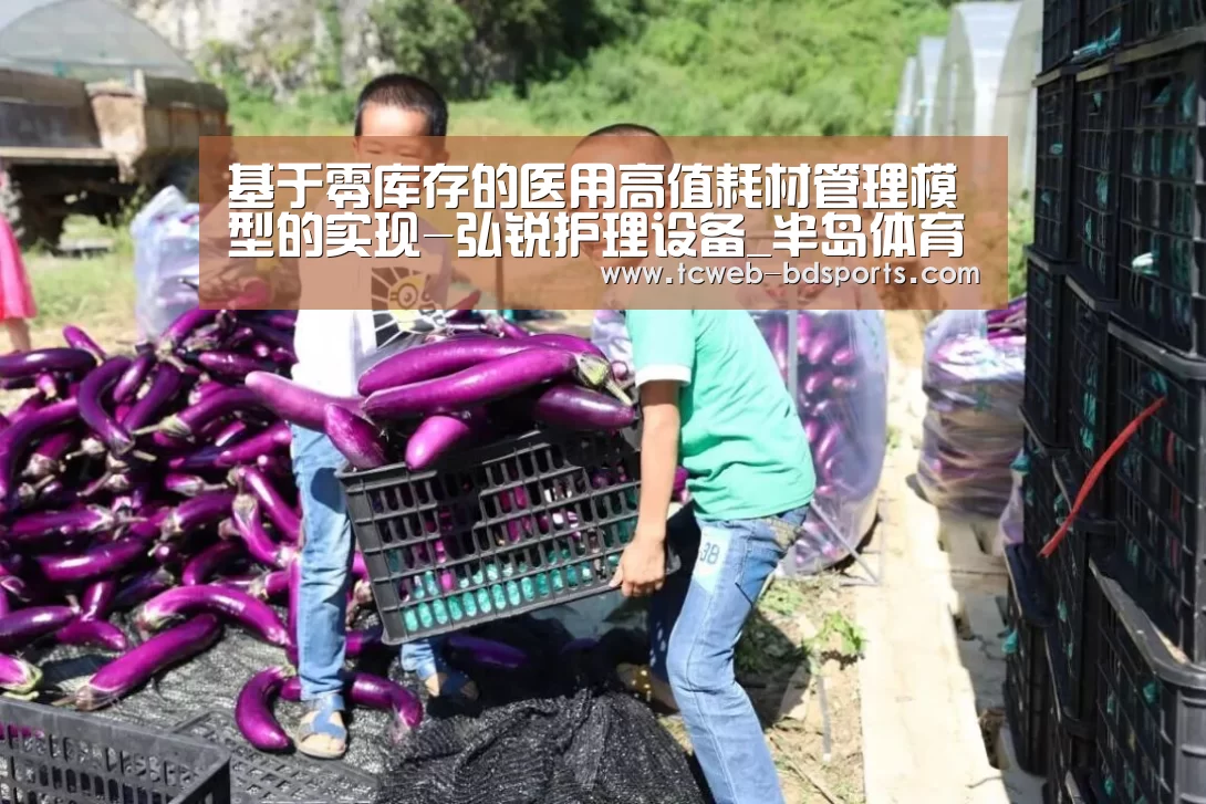 基于零库存的医用高值耗材管理模型的实现-弘锐护理设备_半岛体育网址(图3) 半岛体育