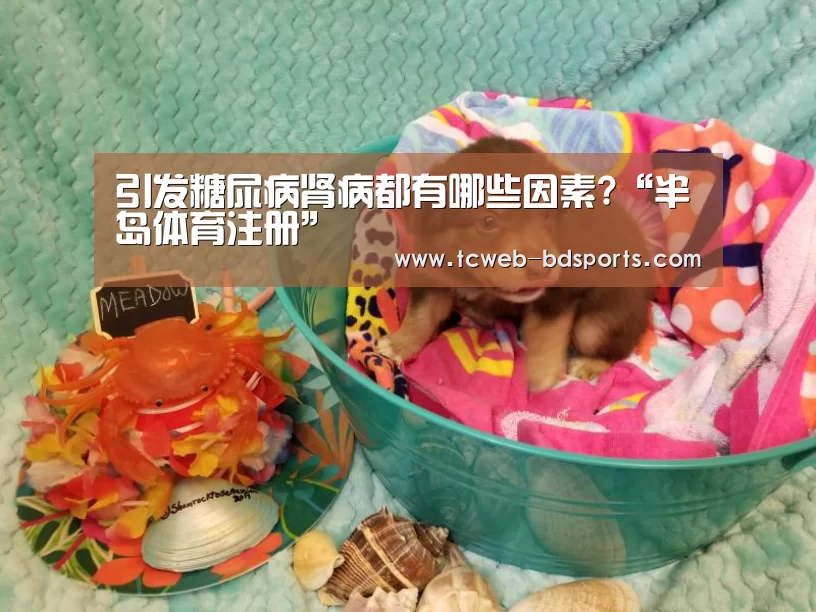 引发糖尿病肾病都有哪些因素?“半岛体育注册”(图1) 半岛体育APP