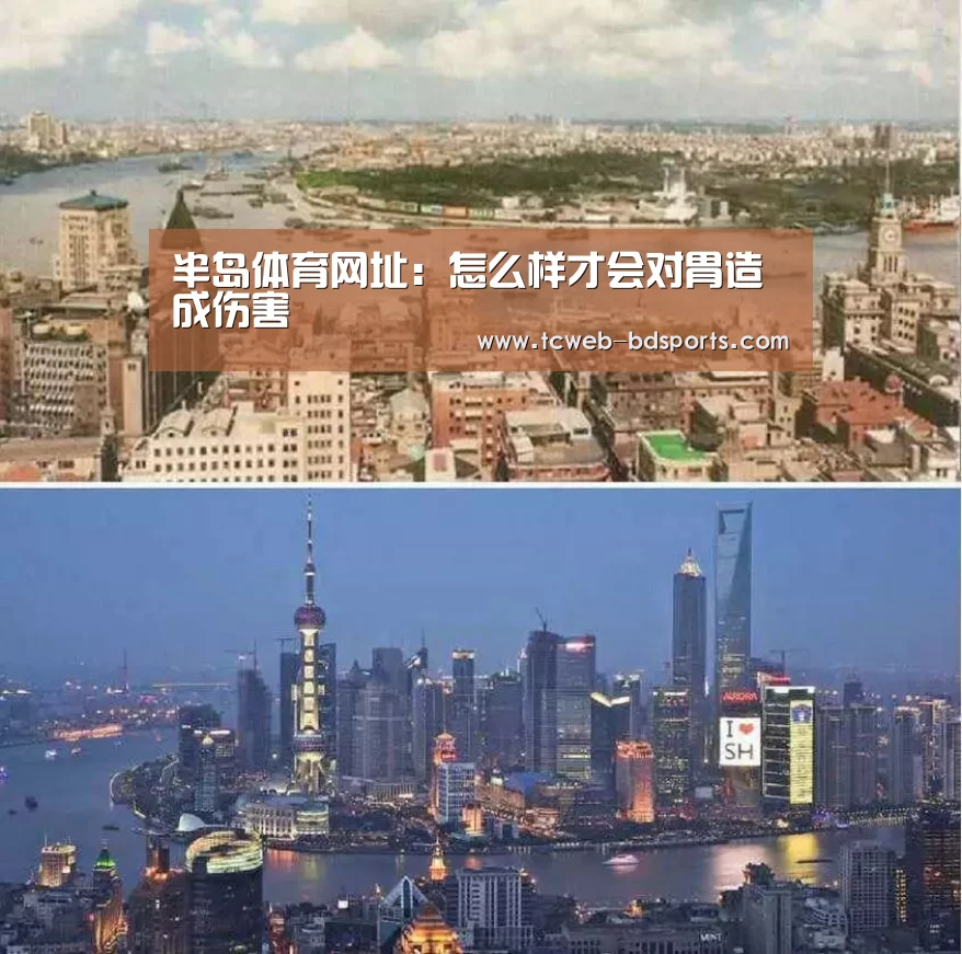 半岛体育网址